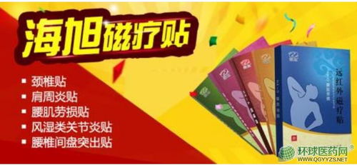 第23頁 處方藥招商代理、藥品分類與功效及軟件開發的整合策略